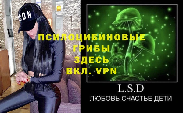 молекула духа Приозерск