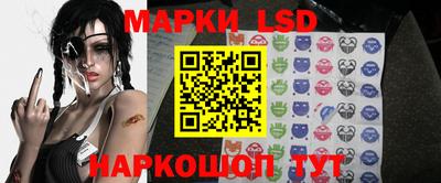 крисы Краснодар