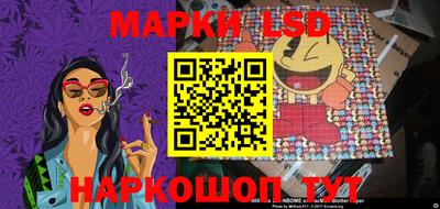 крисы Краснодар