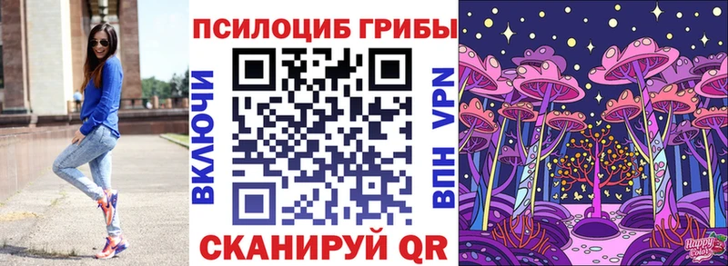 купить наркотики сайты  Зеленогорск  Псилоцибиновые грибы ЛСД 