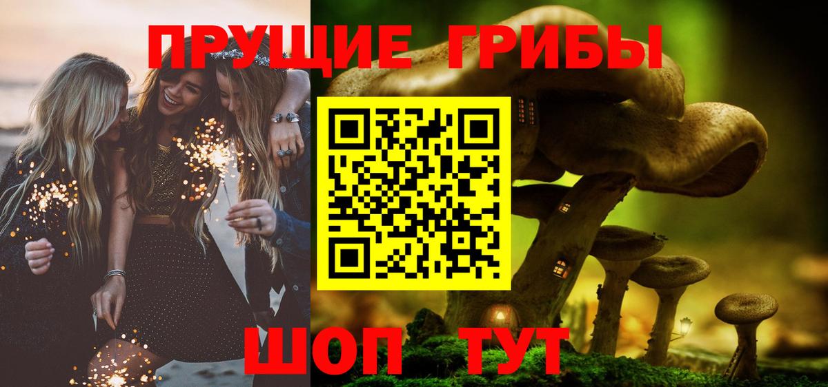 Галлюциногенные грибы мицелий Зеленогорск