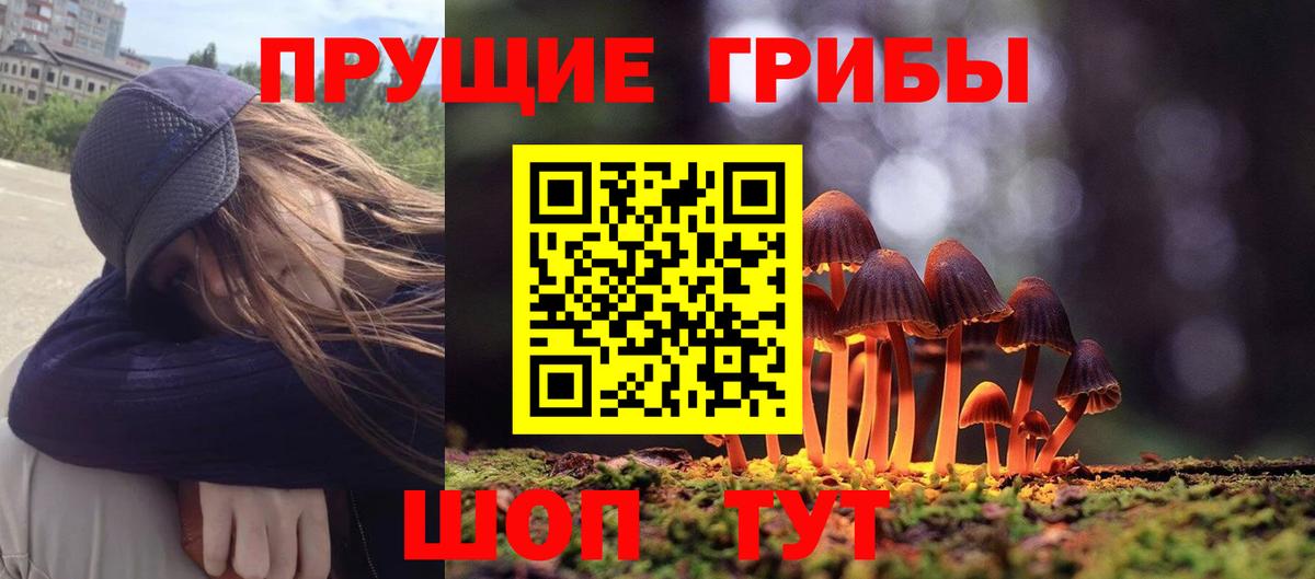 A-PVP Зеленогорск